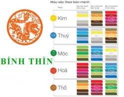 Sinh năm 1976 Bính Thìn hợp với màu gì? mua xe màu gì?