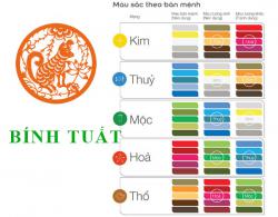 Sinh năm 2006 Bính Tuất hợp với màu gì? mua xe màu gì?
