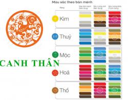 Sinh năm 1980 Canh Thân hợp với màu gì? mua xe màu gì?