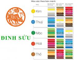 Sinh năm 1997 Đinh Sửu hợp với màu gì? mua xe màu gì?