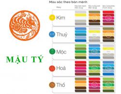 Sinh năm 2008 Mậu Tý hợp với màu gì? mua xe màu gì?