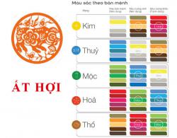 Sinh năm 1995 Ất Hợi hợp với màu gì? mua xe màu gì?