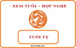 Tuổi Tỵ hợp với nghề gì và hướng nào theo phong thủy