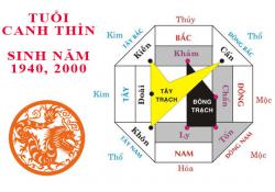 Sinh năm 2000 Canh Thìn hợp với tuổi nào?