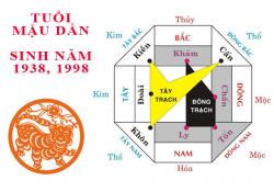 Sinh năm 1998 Mậu Dần hợp hướng nào?