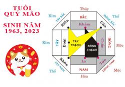 Sinh năm 1963 Quý Mão hợp hướng nào?