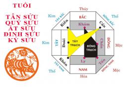 Tuổi Sửu hợp hướng nào?