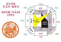Sinh năm 1991 Tân Mùi hợp hướng nào?