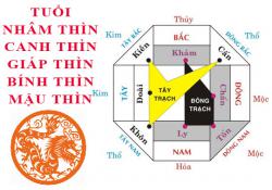 Tuổi Thìn hợp hướng nào?