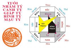 Tuổi tý hợp hướng nào?