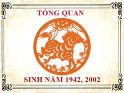 Sinh năm 2002 mệnh gì, tuổi gì và hợp màu gì?