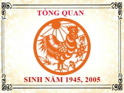 Sinh năm 2005 mệnh gì, tuổi gì và hợp màu gì?