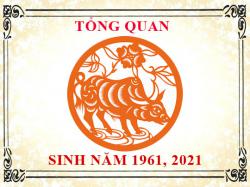 Sinh năm 1961 mệnh gì, tuổi gì và hợp màu gì?