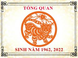 Sinh năm 2022 mệnh gì, tuổi gì và hợp màu gì?