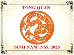 Sinh năm 1965 mệnh gì, tuổi gì và hợp màu gì?