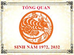 Sinh năm 1972 mệnh gì, tuổi gì và hợp màu gì?