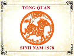 Sinh năm 1978 mệnh gì, tuổi gì và hợp màu gì?