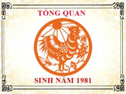 Sinh năm 1981 mệnh gì, tuổi gì và hợp màu gì?