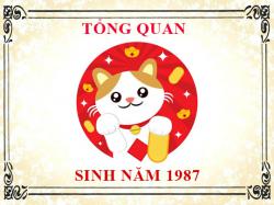 Sinh năm 1987 mệnh gì, tuổi gì và hợp màu gì?