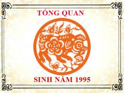 Sinh năm 1995 mệnh gì, tuổi gì và hợp màu gì?