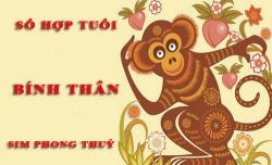 Tuổi Bính Thân hợp với số nào theo phong thuỷ, chọn sim phong thuỷ