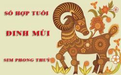 Tuổi Đinh Mùi hợp với số nào theo phong thuỷ