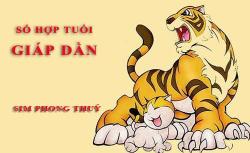 Tuổi Giáp Dần hợp với số nào theo phong thuỷ, chọn sim phong thuỷ