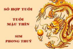 Tuổi Mậu Thìn hợp với số nào theo phong thuỷ, chọn sim phong thuỷ