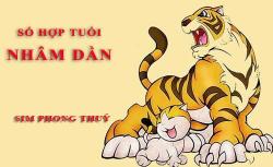 Tuổi Nhâm Dần hợp với số nào theo phong thuỷ, chọn sim phong thuỷ