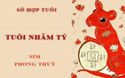 Tuổi Nhâm Tý hợp với số nào theo phong thuỷ, chọn sim phong thuỷ