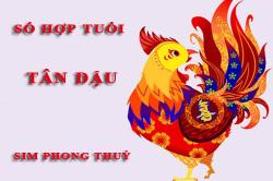 Tuổi Tân Dậu hợp với số nào theo phong thuỷ, chọn sim phong thuỷ