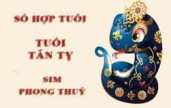 Tuổi Tân Tỵ hợp với số nào theo phong thuỷ, chọn sim phong thuỷ