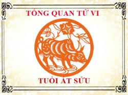 Tử vi tuổi Ất Sửu 1985: Tổng quan về vận mệnh, tình yêu, sự nghiệp