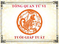 Tử vi tuổi Giáp Tuất 1994: Tổng quan về vận mệnh, tình yêu, sự nghiệp