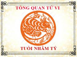Tử vi tuổi Nhâm Tý: Tổng quan về vận mệnh, tình yêu, sự nghiệp