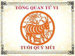 Tử vi tuổi Quý Mùi 2003: Tổng quan về vận mệnh, tình yêu, sự nghiệp