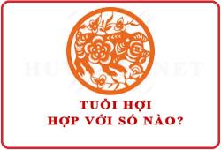 Tuổi Hợi hợp với số nào theo phong thuỷ