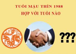 Sinh năm 1988 Mậu Thìn hợp với tuổi nào?