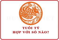 Tuổi Tý hợp với số nào theo phong thuỷ