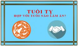 Tuổi Tỵ kết hợp làm ăn với tuổi nào để thành công