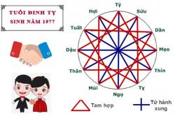 Tuổi Đinh Tỵ hợp với tuổi nào trong làm ăn, tình yêu và hôn nhân