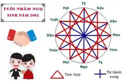 Tuổi Nhâm Ngọ hợp với tuổi nào trong làm ăn, tình yêu và hôn nhân
