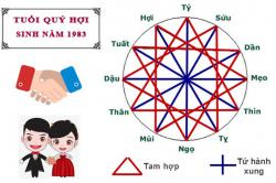 Tuổi Quý Hợi hợp với tuổi nào trong làm ăn, tình yêu và hôn nhân