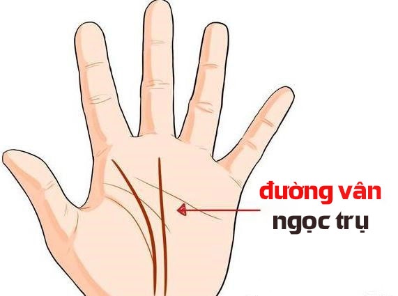 5 đường chỉ tay của người khổ trước sướng sau, hậu vận an nhàn, vãn niên giàu có