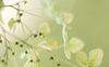 Thứ Ba của bạn (27/3): Thiên Bình và những kế hoạch chỉn chu