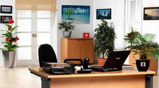 Phong thủy văn phòng tuổi Thìn ngồi làm việc hợp hướng nào?