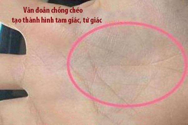 Mở tay xem thử, phụ nữ nào có đặc điểm này thì xác định tiền đã vào tay thì không có đường ra, cả đời sống giàu sang phú quý