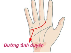 Số mệnh bạn sẽ ra sao nếu có quá nhiều đường chỉ tay lộn xộn trong lòng bàn tay?