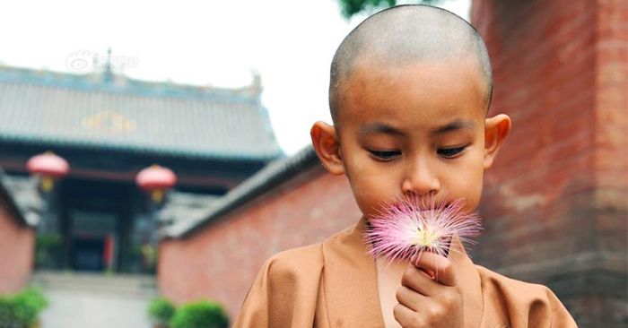 Tiểu hòa thượng nấu cơm, chẻ củi vì sao có thể tu thành chính quả?