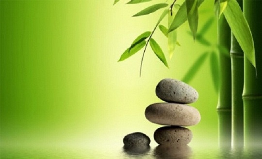 Một vài câu truyện về số phận đời người